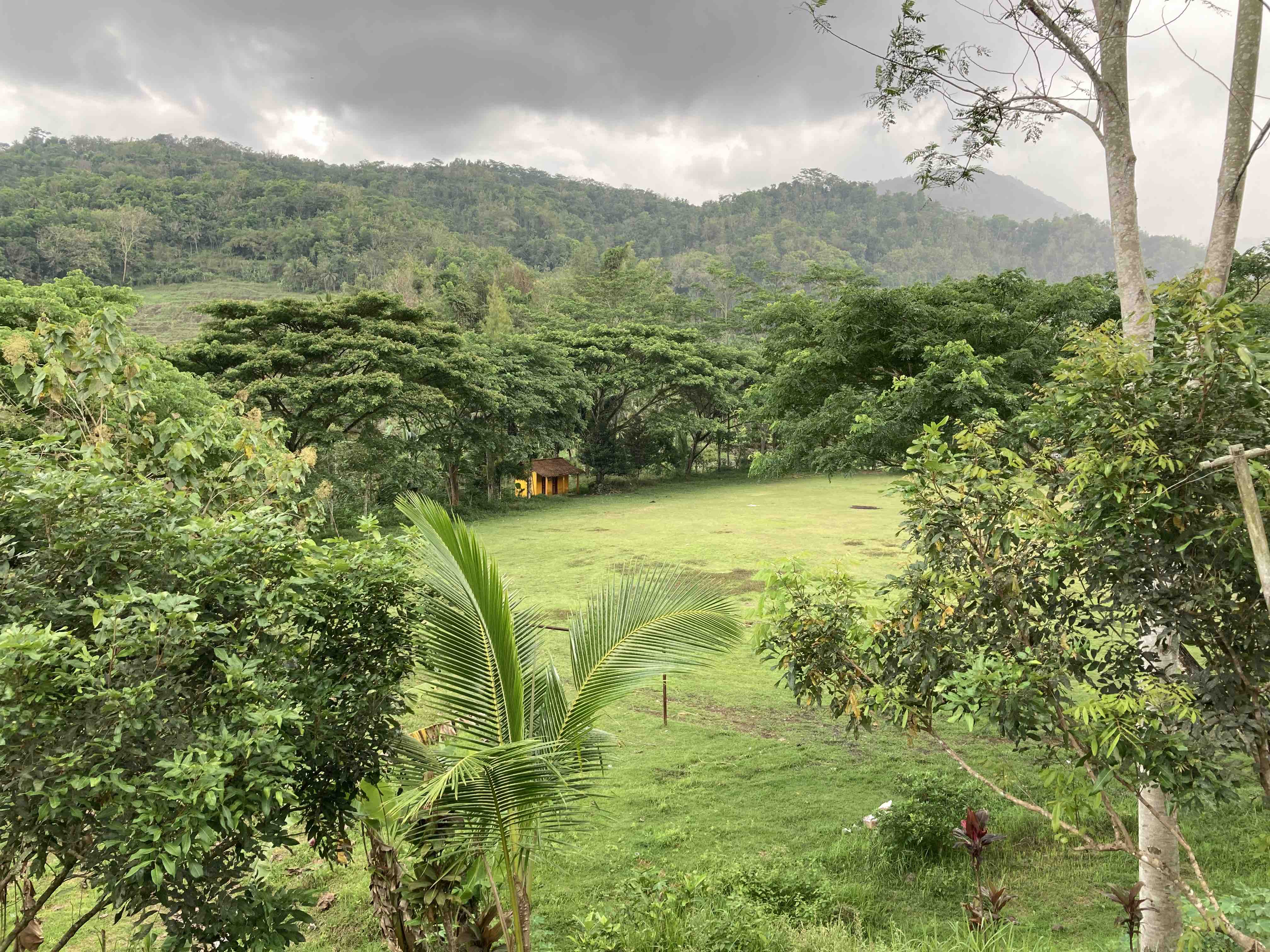 a green field landscape header image